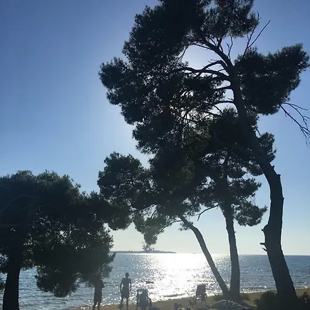 Apartman Flat Sweet Dream *