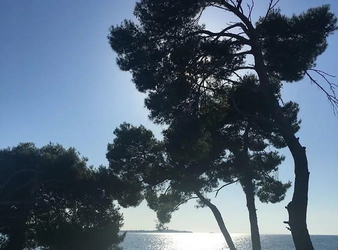 Apartment Flat Sweet Dream *