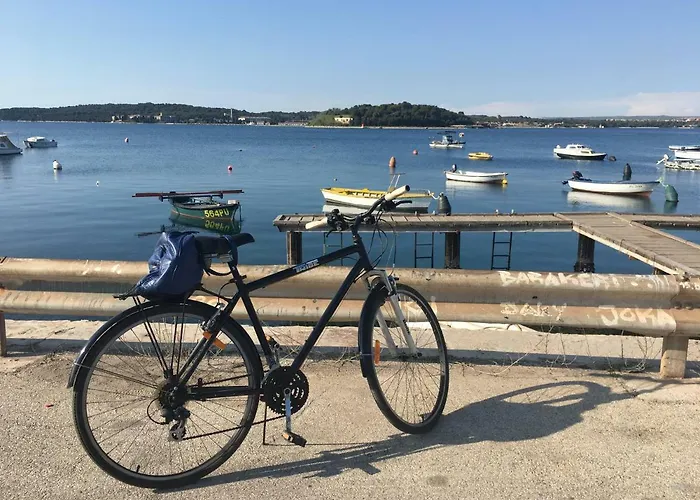 Flat Sweet Dream Póla