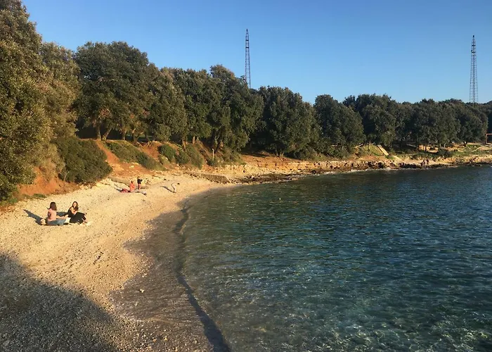 Flat Sweet Dream Póla